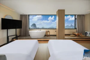 Deluxe Mountain View Twin Room
