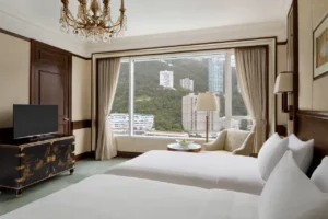 Deluxe Peak View Room