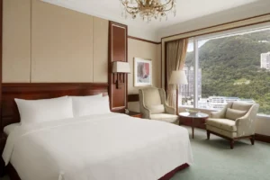 Deluxe Peak View Room