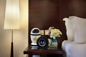 Deluxe River-view King Room