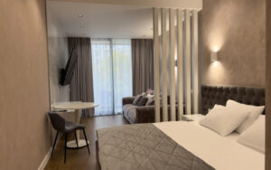 Deluxe room with balcony and with view