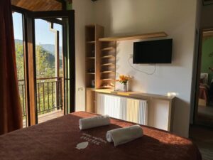 Double Room with Balcony