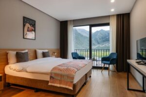 Double Room with Mountain View