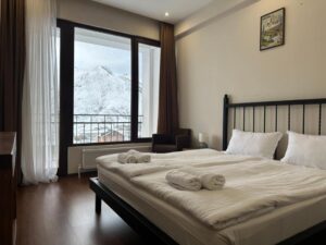 Double Room with Mountain View