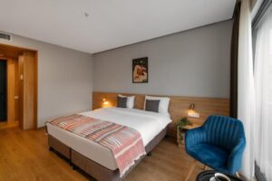 Double Room with Mountain View