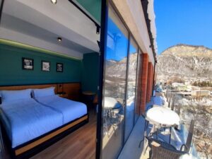 Double with Mountain View