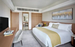 Executive City Suite