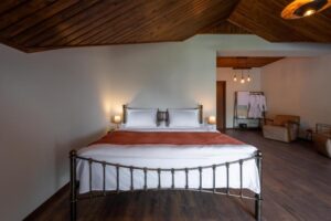 Executive Suite with Terrace