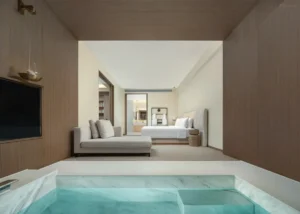 Felicita ·270 Degrees Full River View Pool Premium Suite