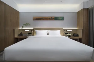 Guestroom (Double Bed)