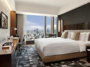 ICON 36 CITY & PARTIAL HARBOUR