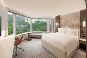 Infinity Room, City View, 1 King Bed