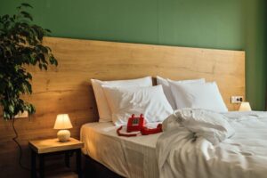 Intourist Signature with Front View