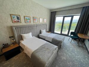 Junior Suite with Mountain View