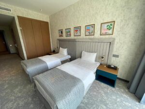 Junior Suite with Mountain View