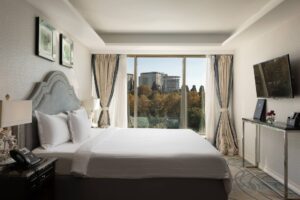 Junior Suite with Park View