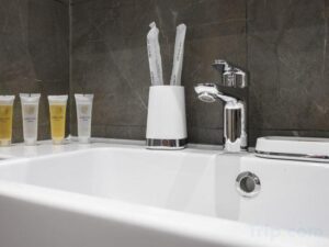 Junior Suite with Terrace