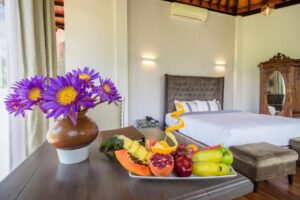 Viyana Suite