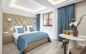 Light Double Basement Studio