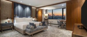 One-Bedroom King Suite