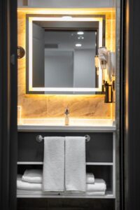 One-Bedroom King Suite Walk-In Shower and View