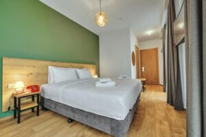 Panorama King Room with Front View