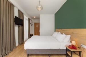 Panorama King Room with Front View