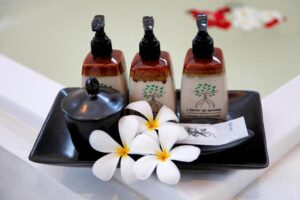 Plunge Pool Suite Villa - Garden View