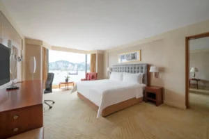 Premier Harbour View Suite