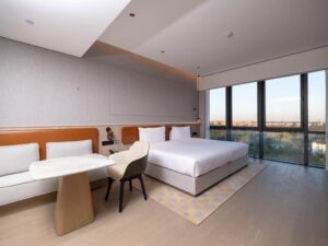 Premium  Room with City View