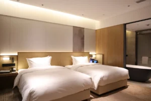Pushan Tranquil Twin Suite