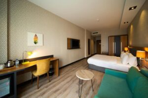 Standard Room with Sofa Bed