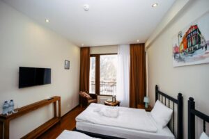 Standard with Mountain View