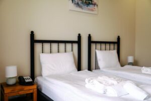 Standard with Mountain View