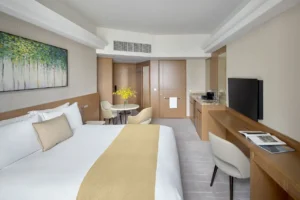 Studio Accessible Room