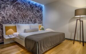 Superior Double or Twin Room-No Window