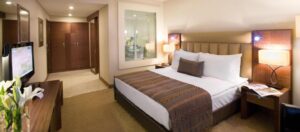 Superior King Room with View