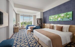 Superior King room without Balcony