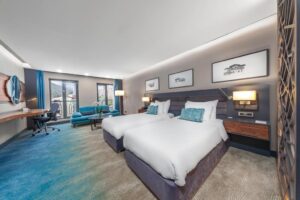 Superior Room City View