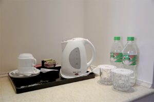 The first DBL category