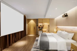 Tianmu Audio-Visual Double Room