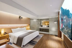 Tianmu Audio-Visual Double Room
