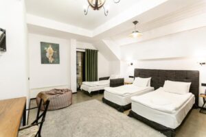 Triple Room with Mountain View