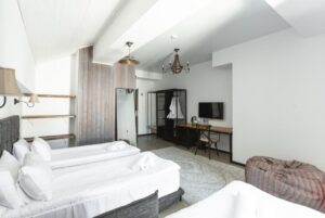 Triple Room with Mountain View