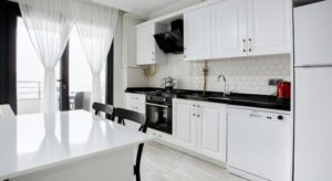 Two-Bedroom Apartment with Mountain View