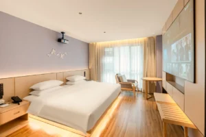 VIP Member Room (King Bed)