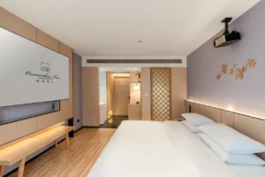 VIP Member Room (King Bed)