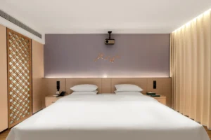 VIP Member Room (King Bed)