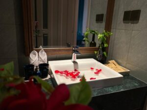 Riva Ocean View Balcony