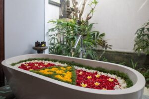 Alantara Suite